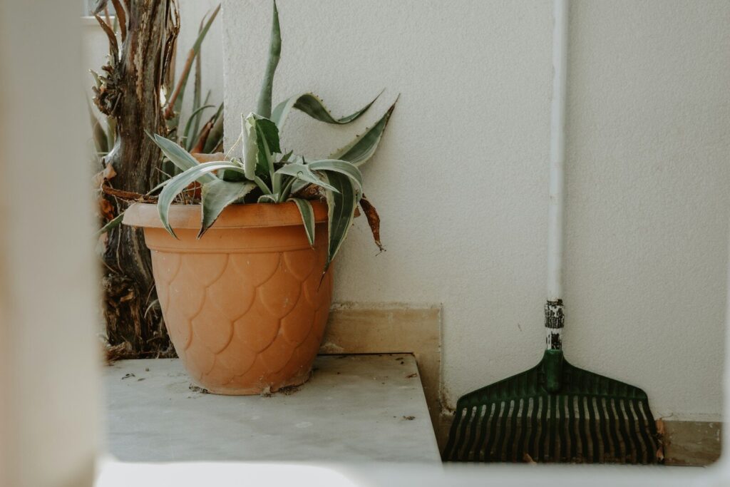 Potted plant and rake leaning against wall